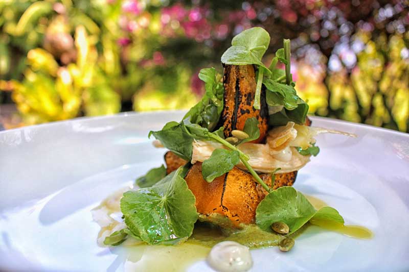 Dine & Wine Bali Best Restaurants & Culinary Guide Bali Ona Restaurant Canggu Best Mediterranean Cuisine Bali Pumpkin Salad