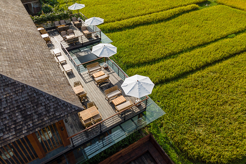 Dine & Wine Bali Best Restaurants & Culinary Guide Bali Kokokan Restaurant Kappa Senses Ubud Rice field view